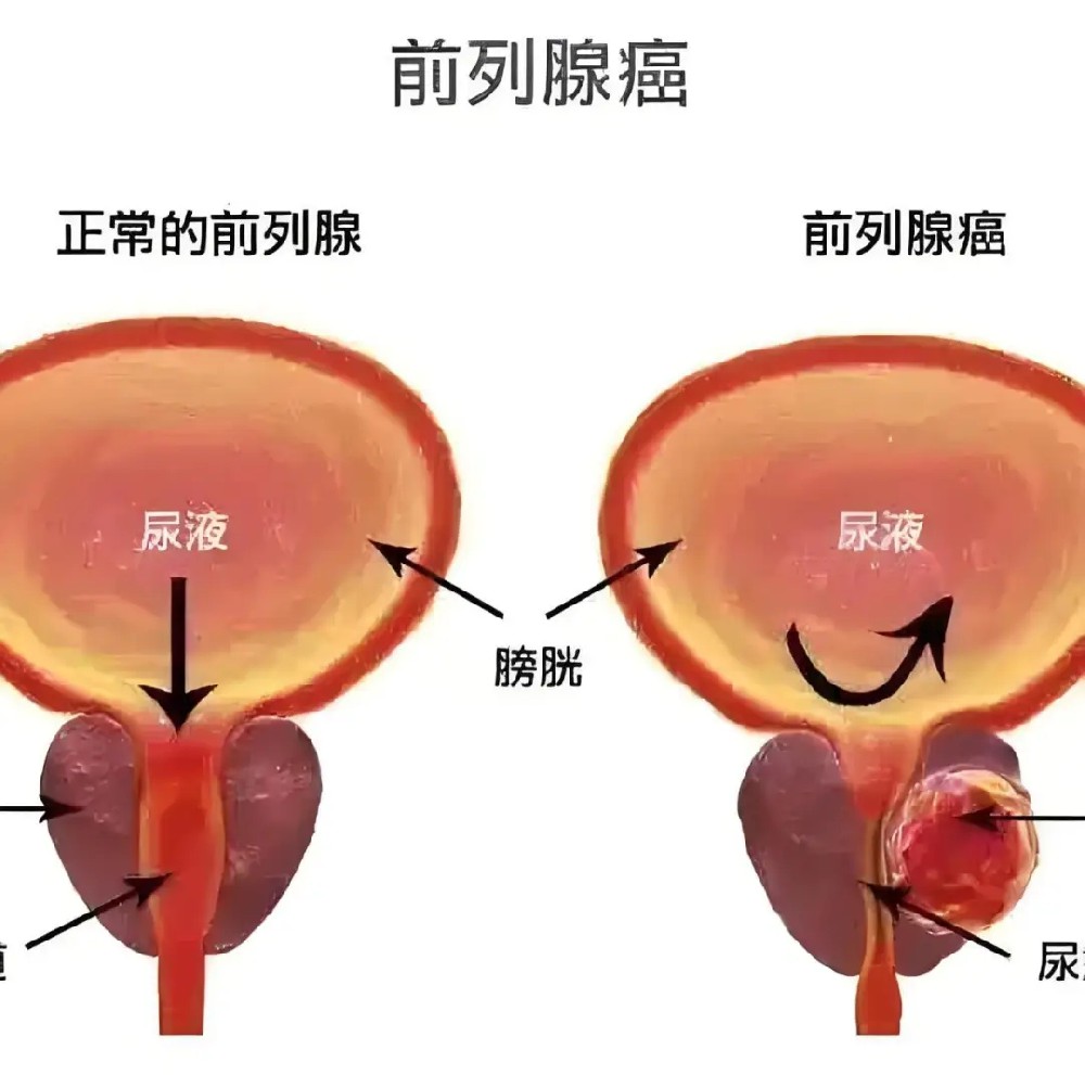 10 critical points from epic security manifesto inability
